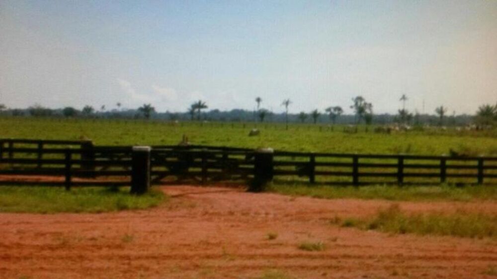 Fazenda - Foto 2