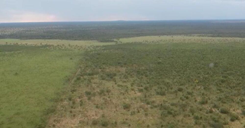 Fazenda à venda - Foto 5