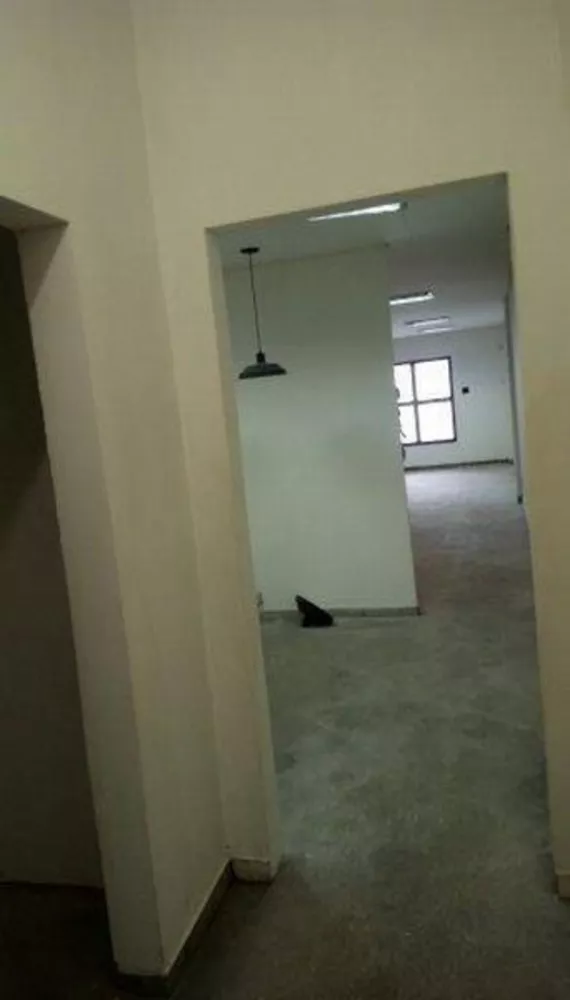 Conjunto Comercial-Sala para alugar, 250m² - Foto 4