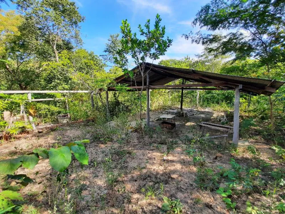 Terreno - Foto 4
