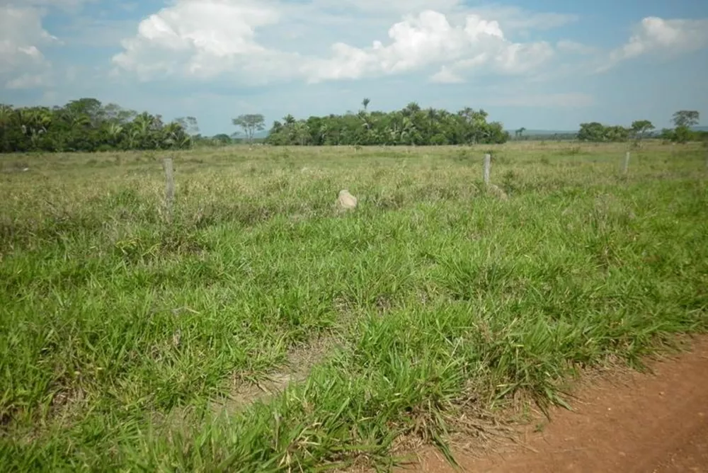 Fazenda à venda - Foto 6