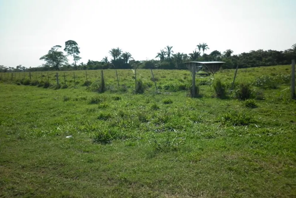 Fazenda à venda - Foto 5