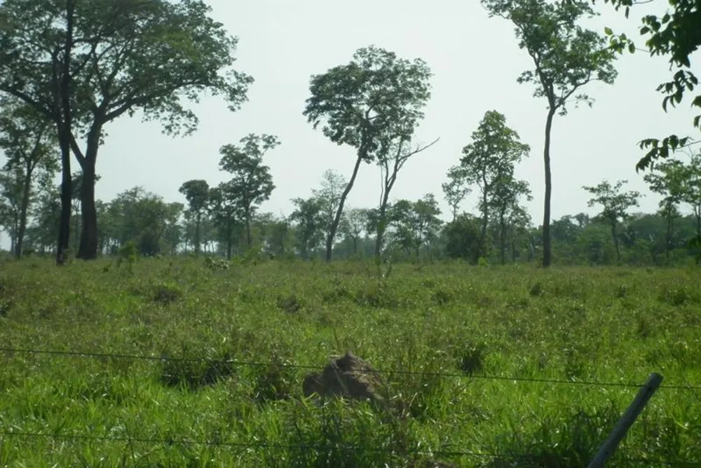 Fazenda - Foto 9