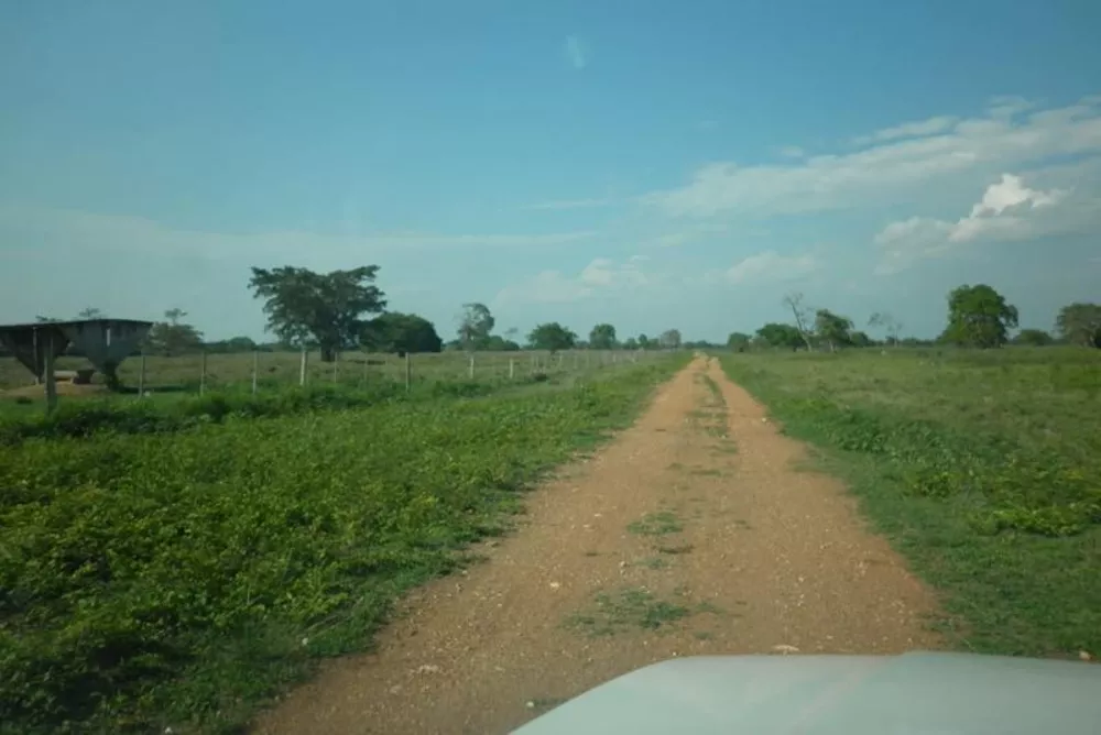 Fazenda à venda - Foto 4