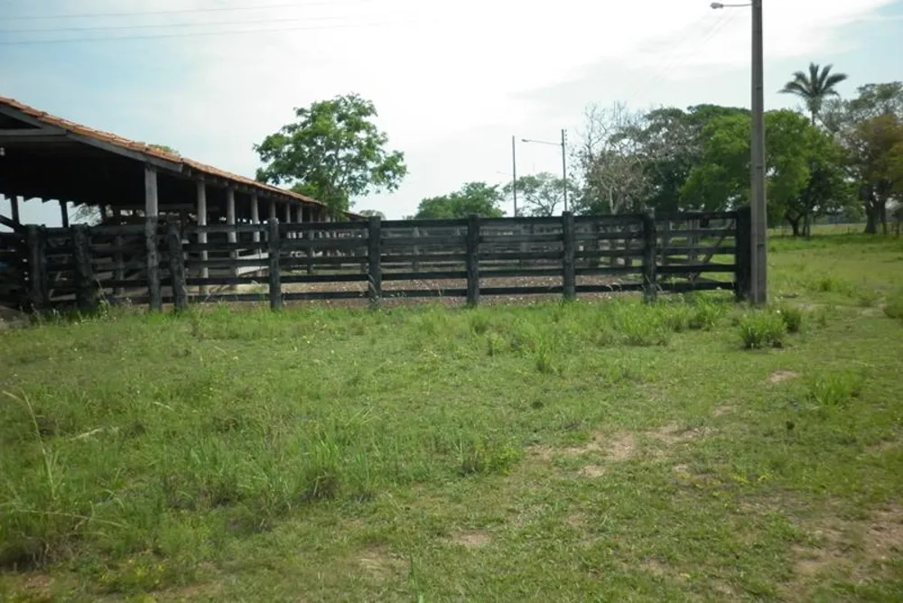 Fazenda - Foto 11