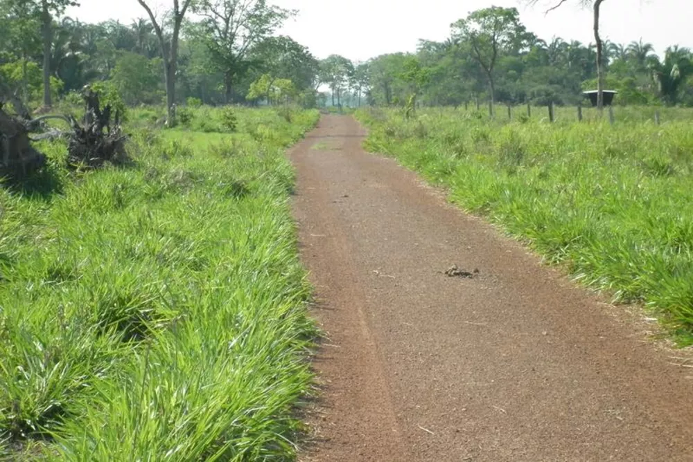 Fazenda à venda - Foto 7