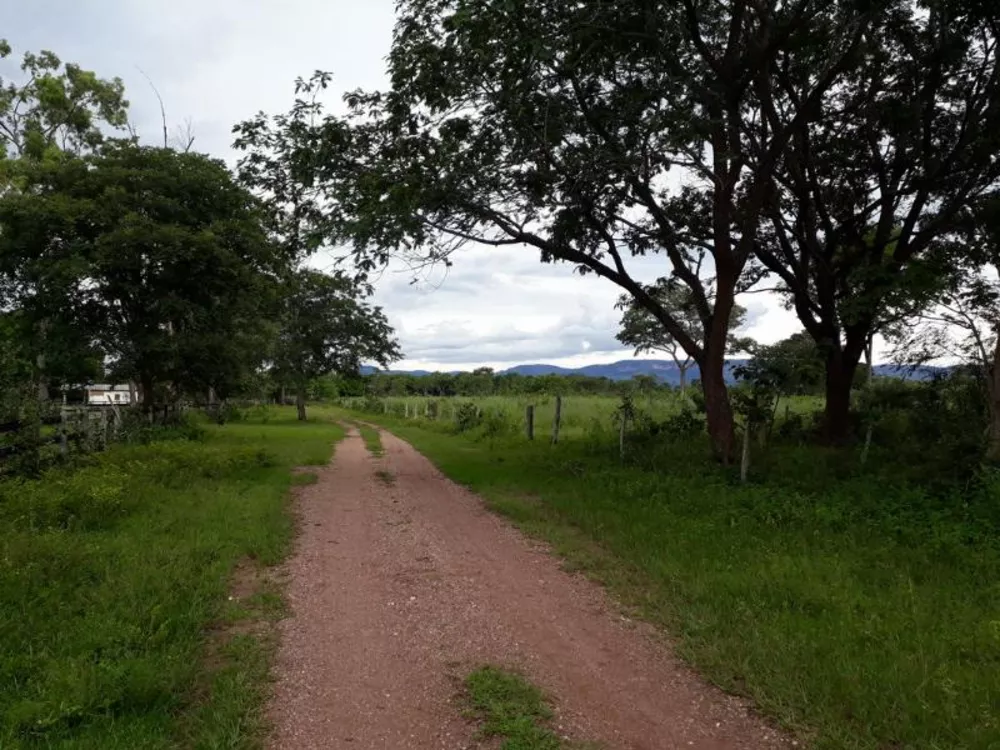 Fazenda à venda - Foto 4