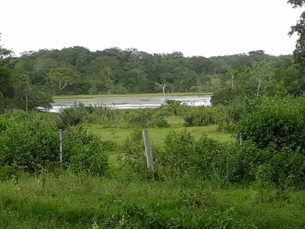 Terreno - Foto 12