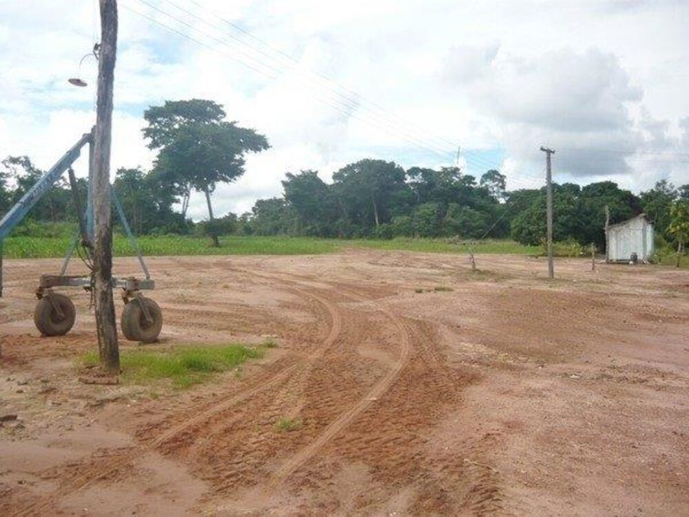 Fazenda - Foto 9
