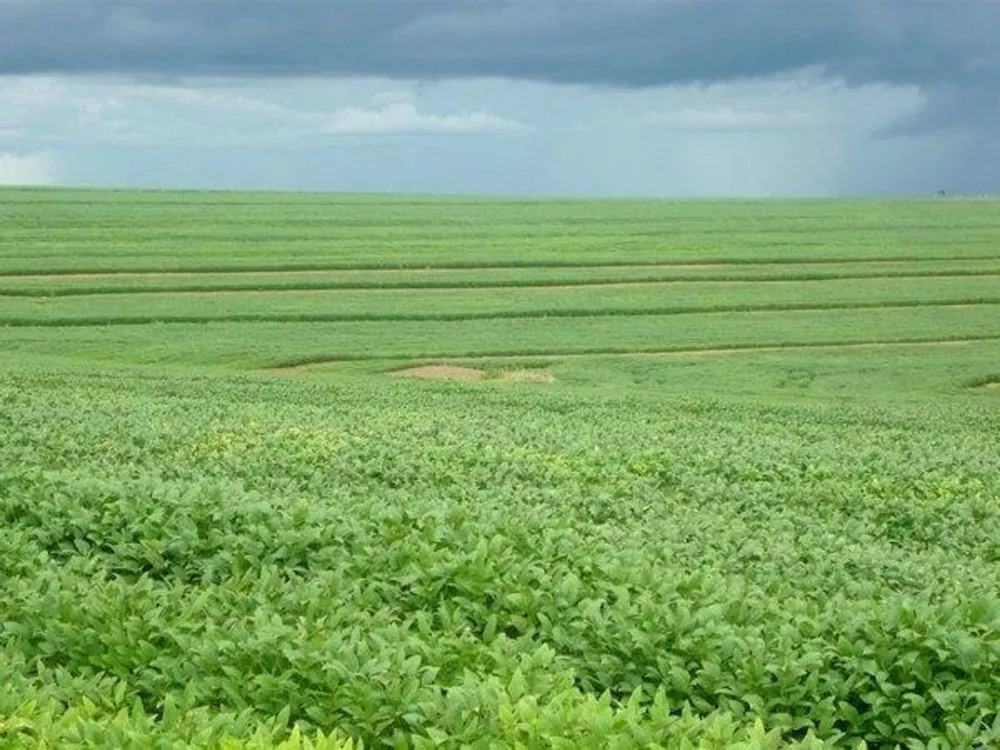 Fazenda - Foto 13