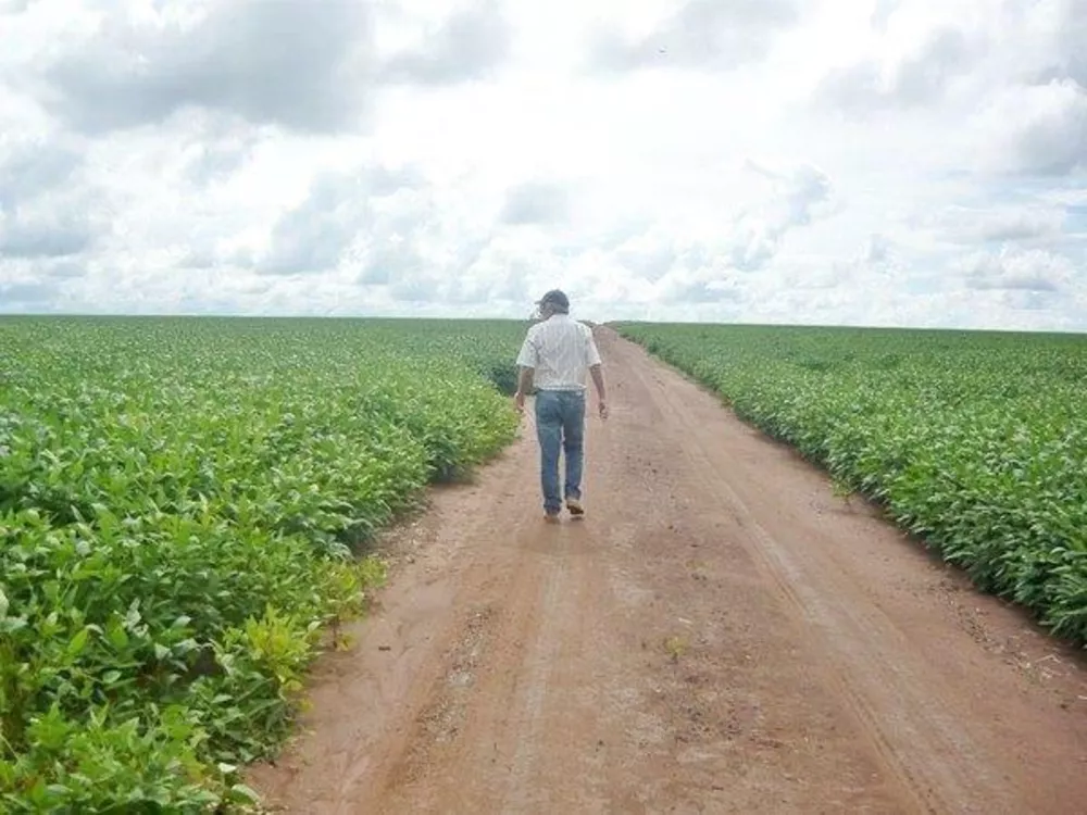 Fazenda à venda - Foto 7