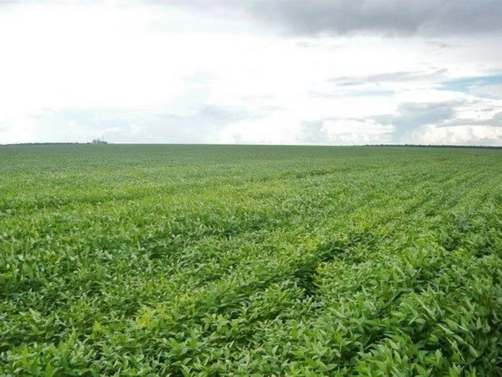 Fazenda - Foto 14