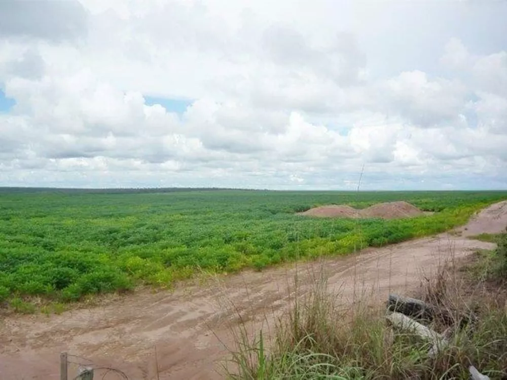 Fazenda à venda - Foto 4