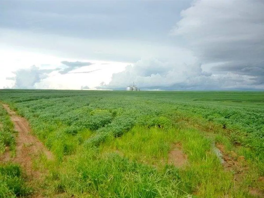 Fazenda à venda - Foto 5