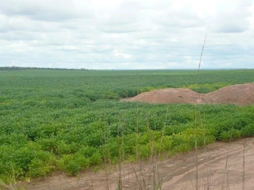 Fazenda à venda - Foto 6