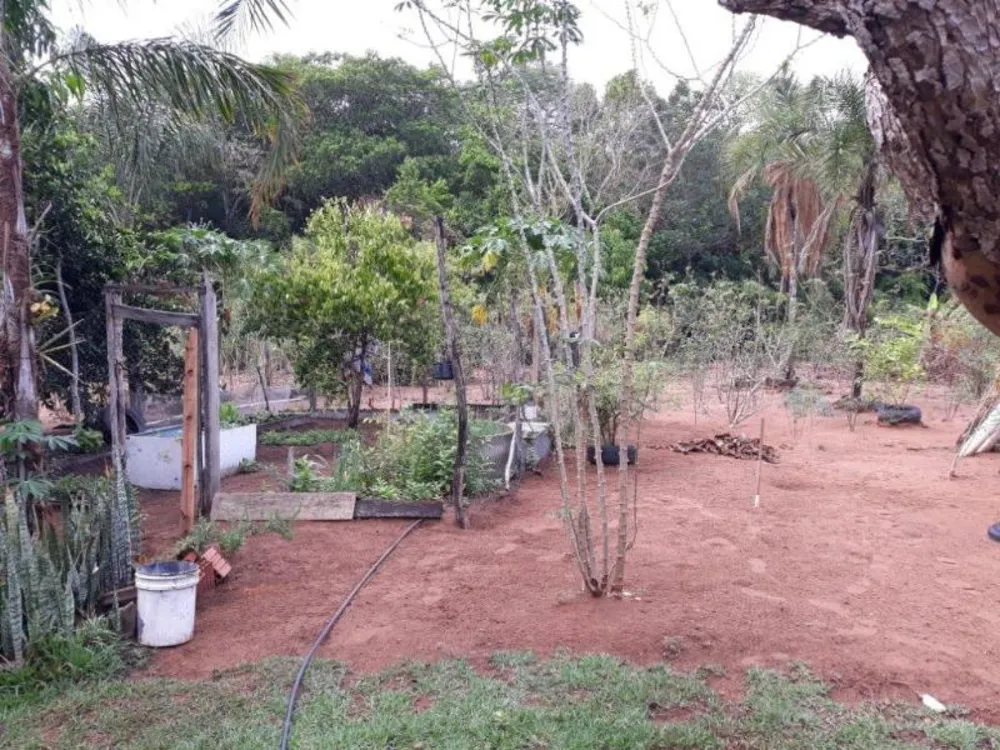 Terreno - Foto 11