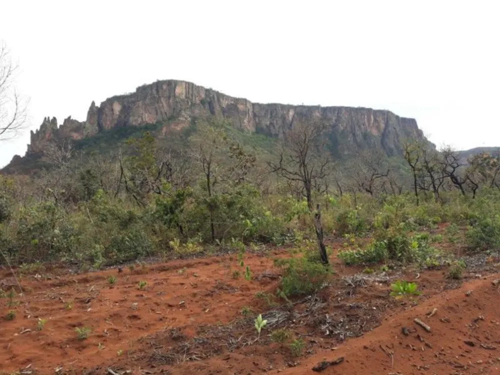 Terreno - Foto 1
