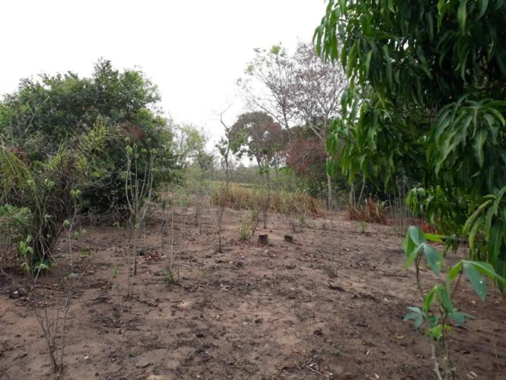 Terreno - Foto 9