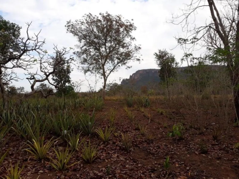 Terreno - Foto 10