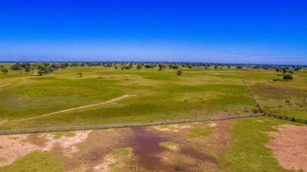 Fazenda - Foto 4