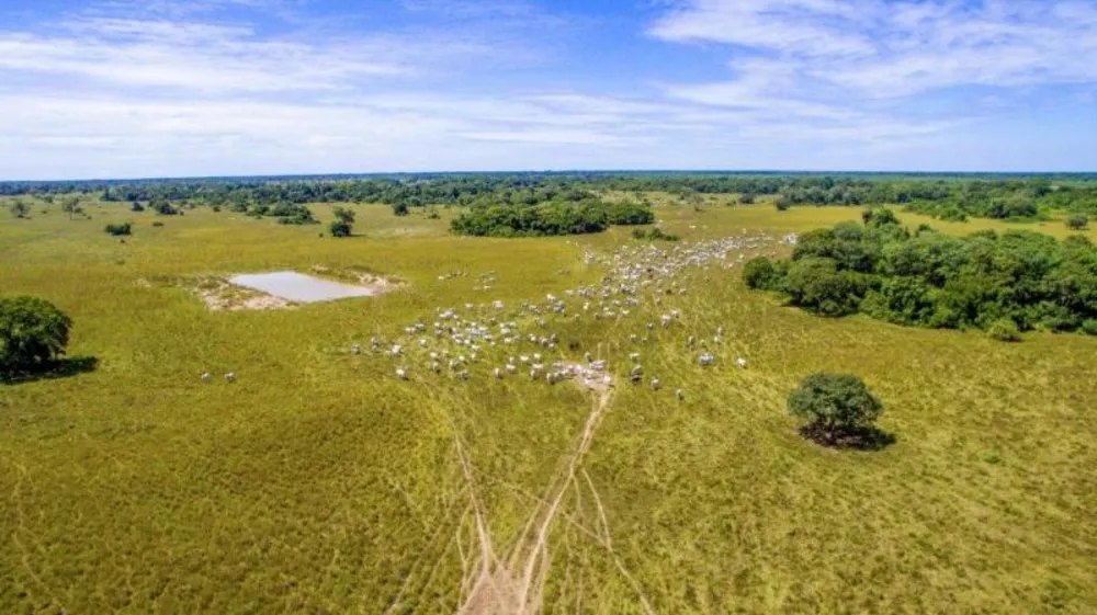 Fazenda - Foto 3