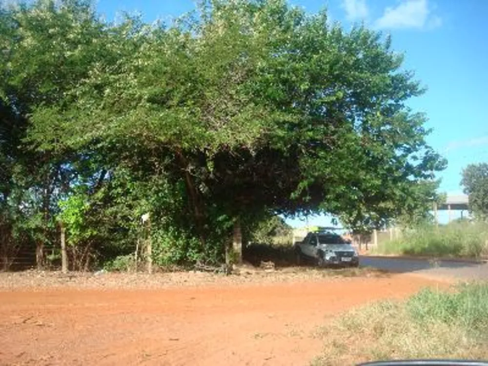 Loteamento e Condomínio - Foto 9