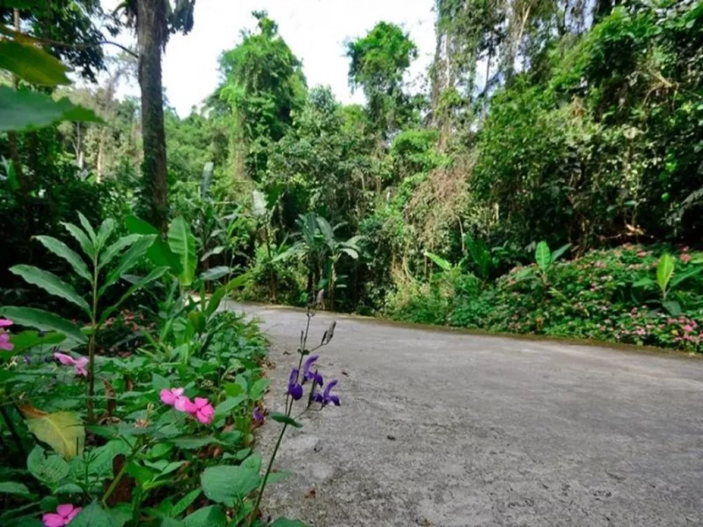 Casa, 6 quartos - Foto 19