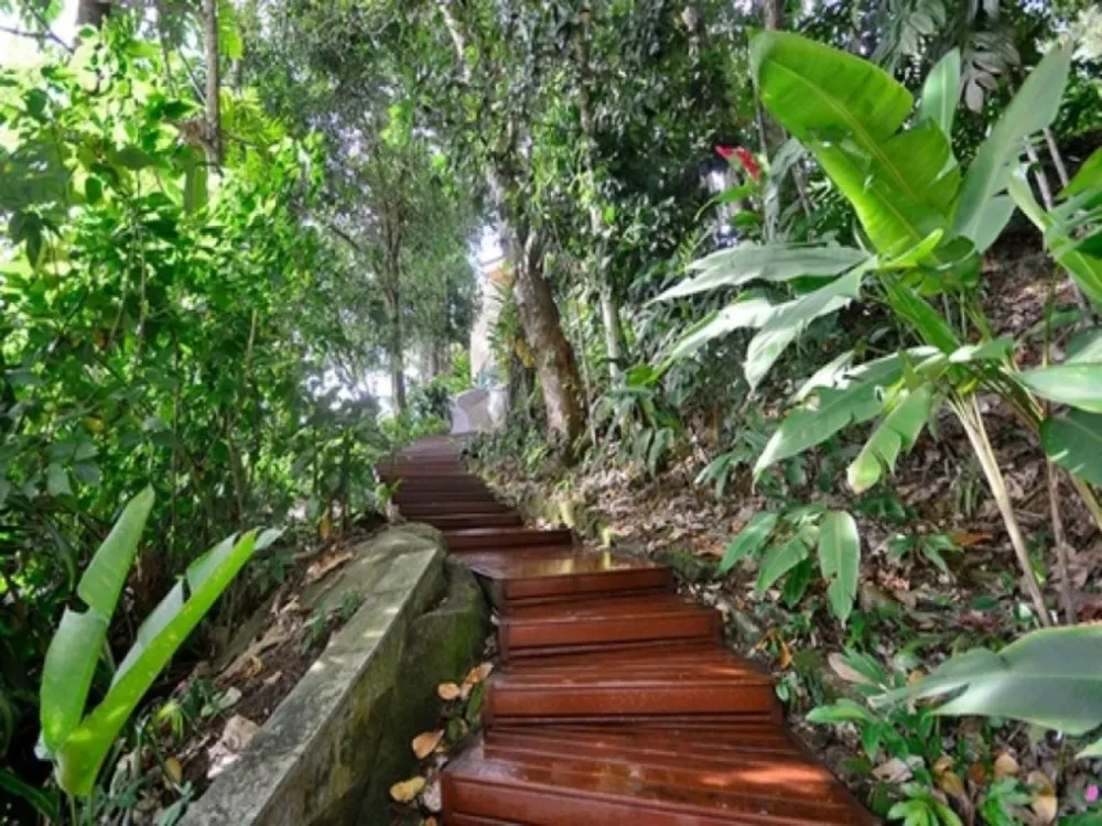 Casa, 6 quartos - Foto 11