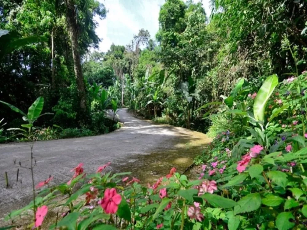 Casa, 6 quartos - Foto 8