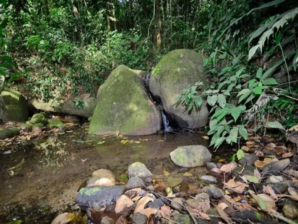 Casa, 6 quartos - Foto 22