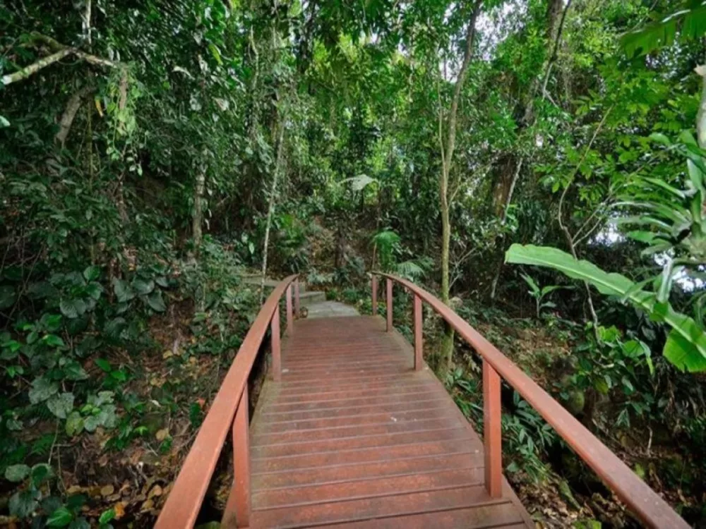 Casa, 6 quartos - Foto 20