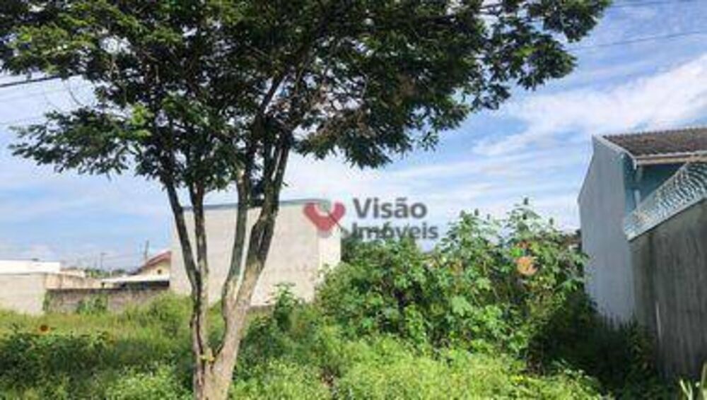 Terreno, 250 m² - Foto 1