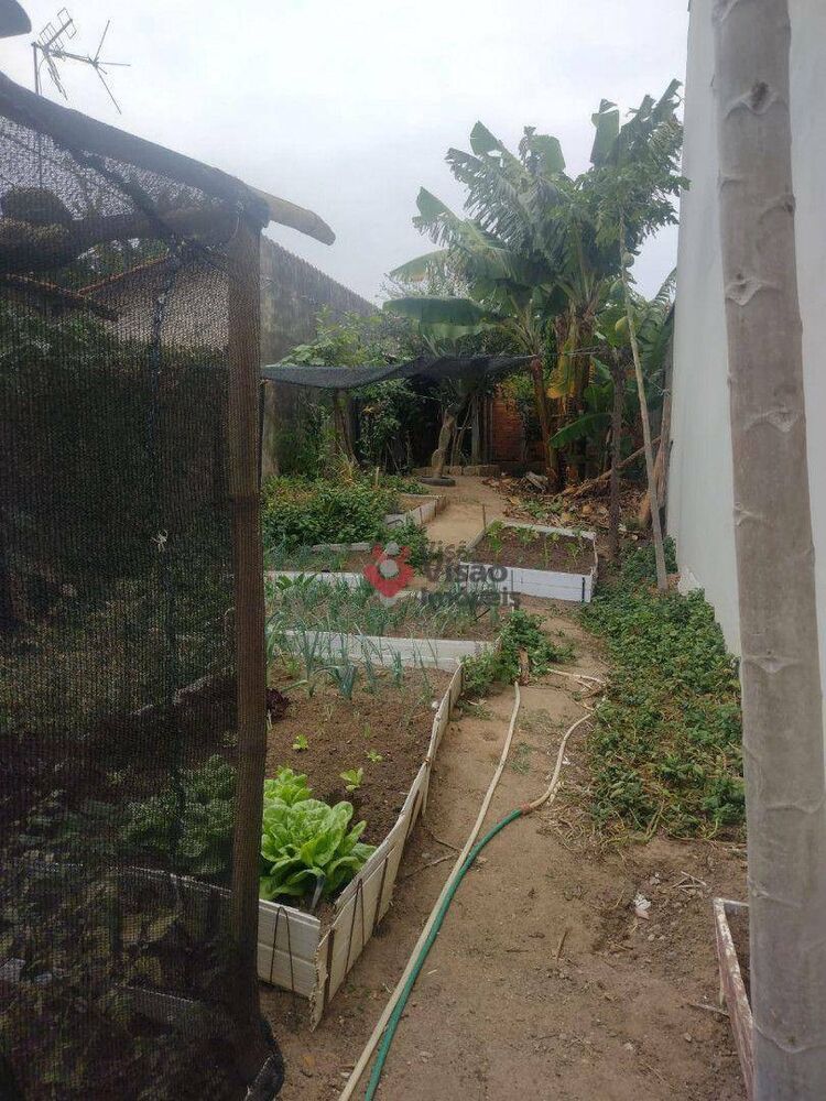 Terreno, 250 m² - Foto 3