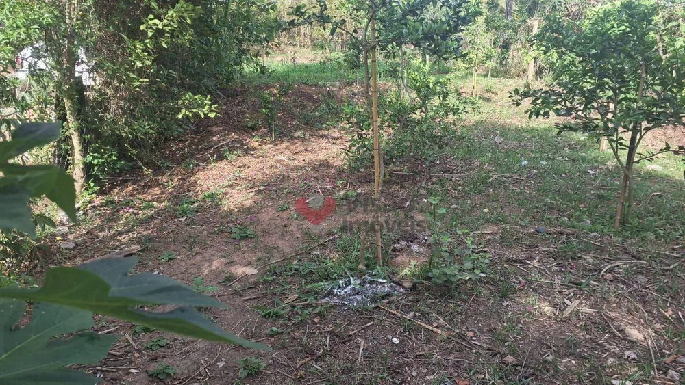 Terreno, 300 m² - Foto 4