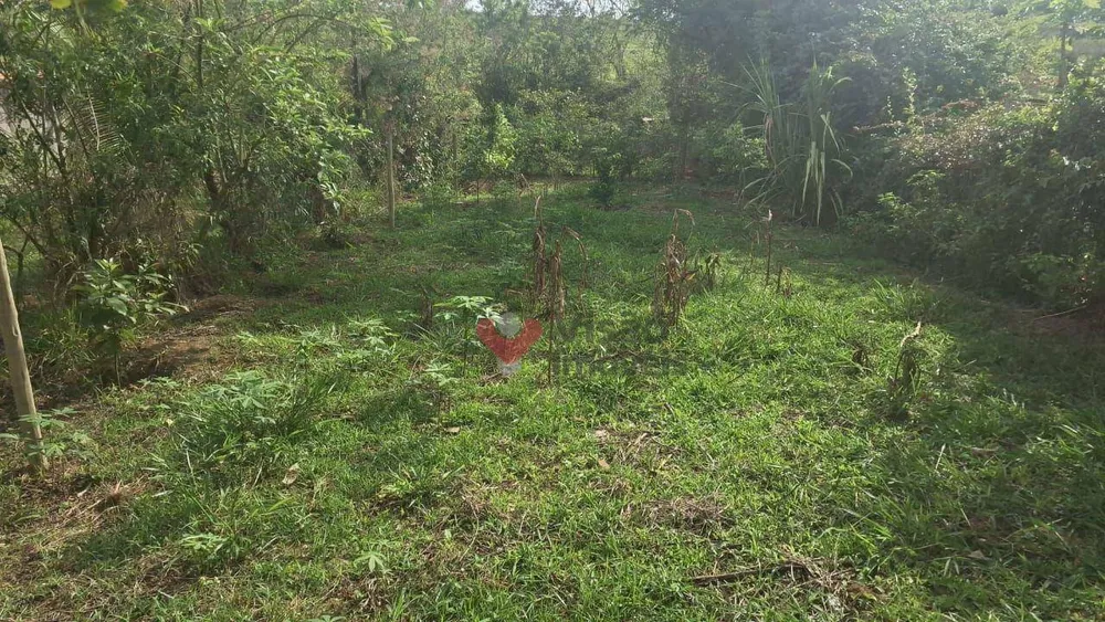 Terreno, 300 m² - Foto 3