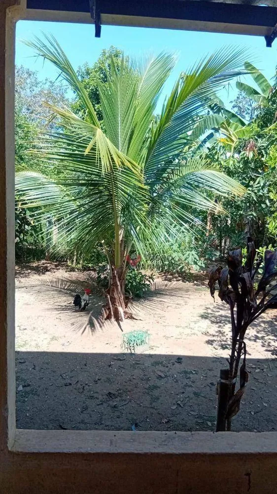 Casa, 4 quartos, 142 m² - Foto 18