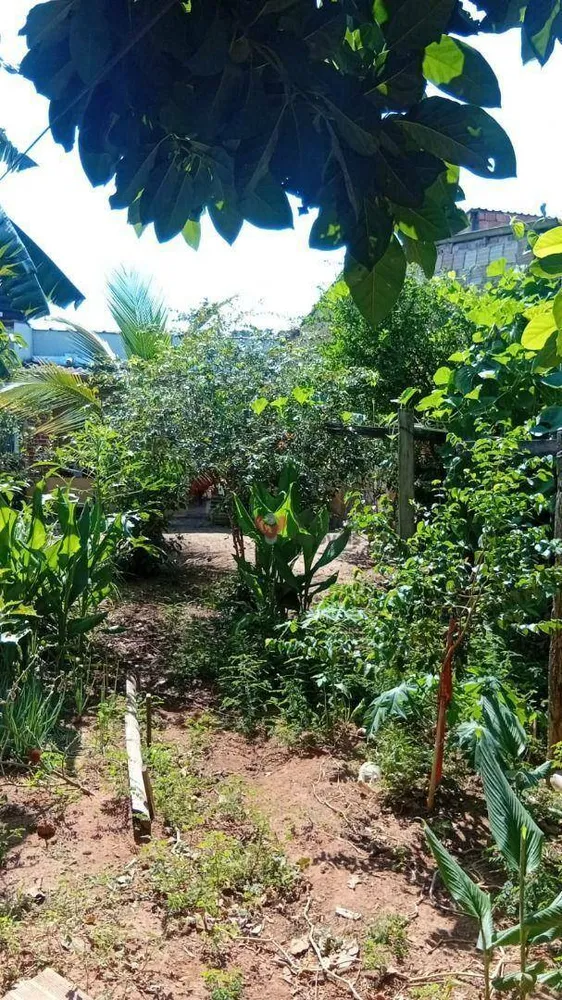Casa, 4 quartos, 142 m² - Foto 17