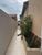 Casa, 3 quartos, 69 m² - Foto 6