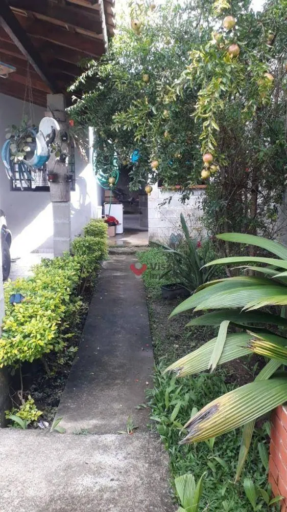 Chácara, 3 quartos, 500 m² - Foto 4