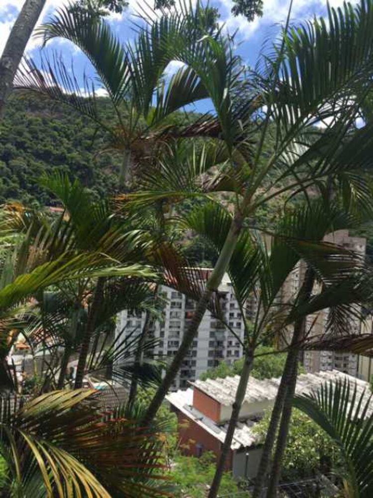Casa, 980 m² - Foto 2