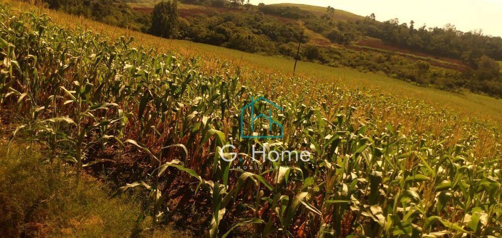 Chácara à venda, 60m² - Foto 3