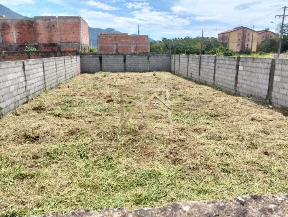 Terreno - Foto 3