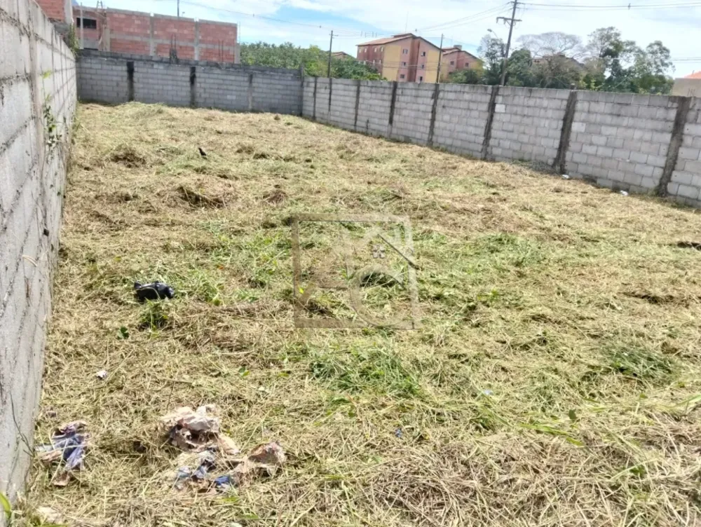 Terreno - Foto 4