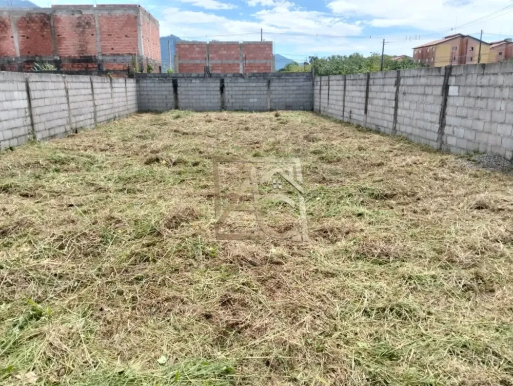 Terreno - Foto 2