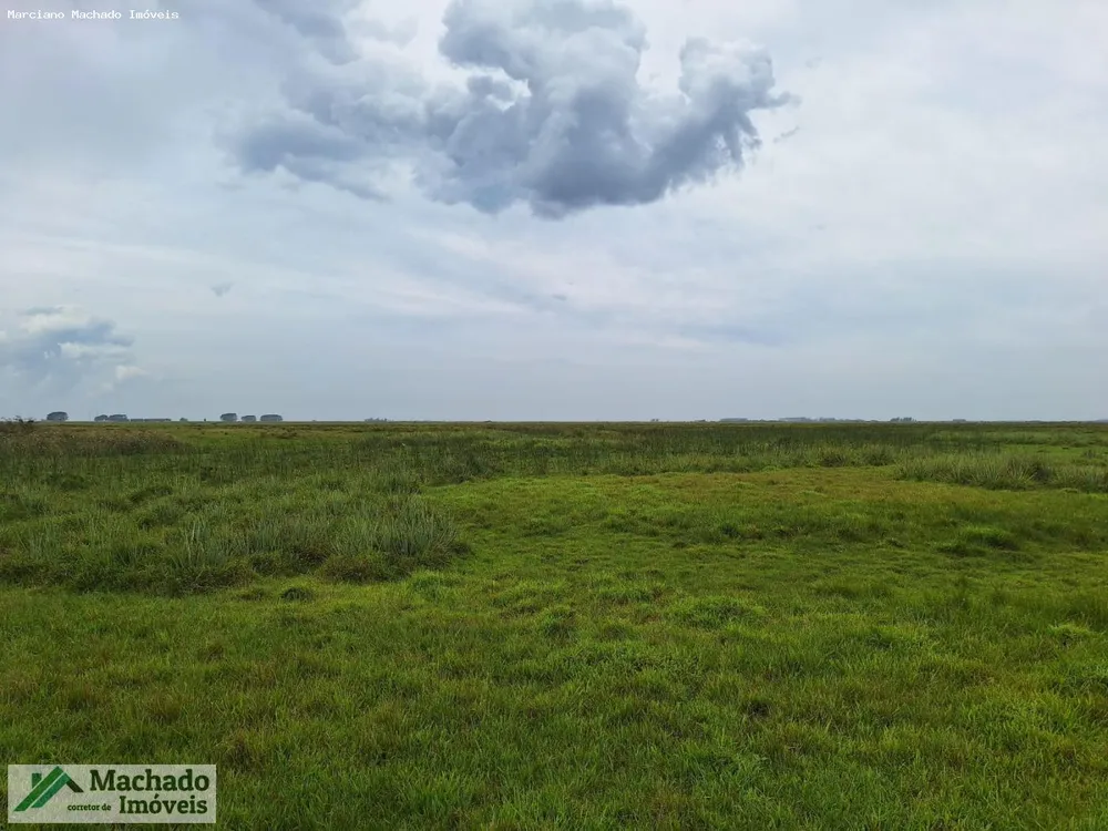 Fazenda, 1000 hectares - Foto 4
