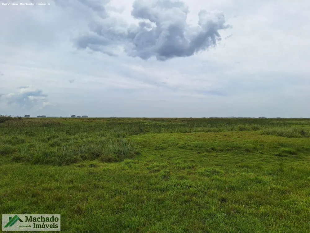 Fazenda, 1000 hectares - Foto 2