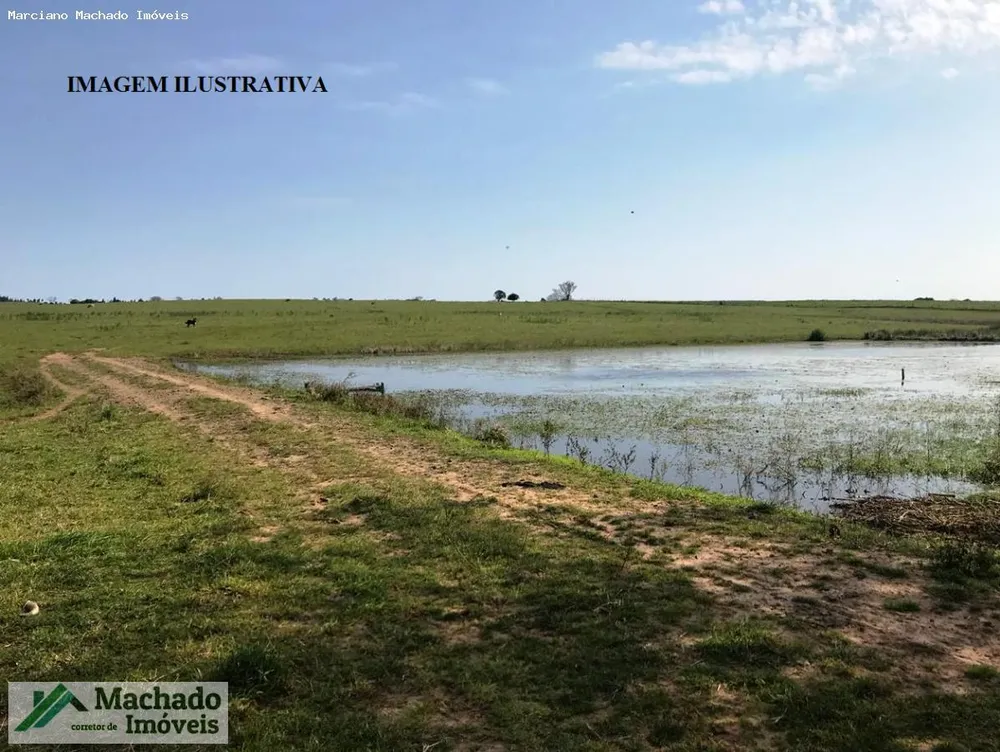 Chácara, 20 hectares - Foto 2