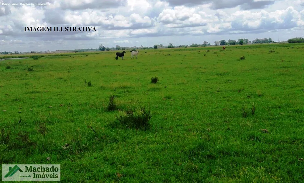 Chácara, 20 hectares - Foto 3