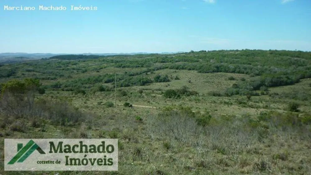 Fazenda, 730 hectares - Foto 4