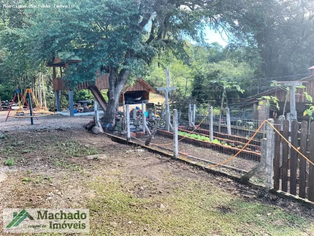 Chácara, 4 hectares - Foto 7